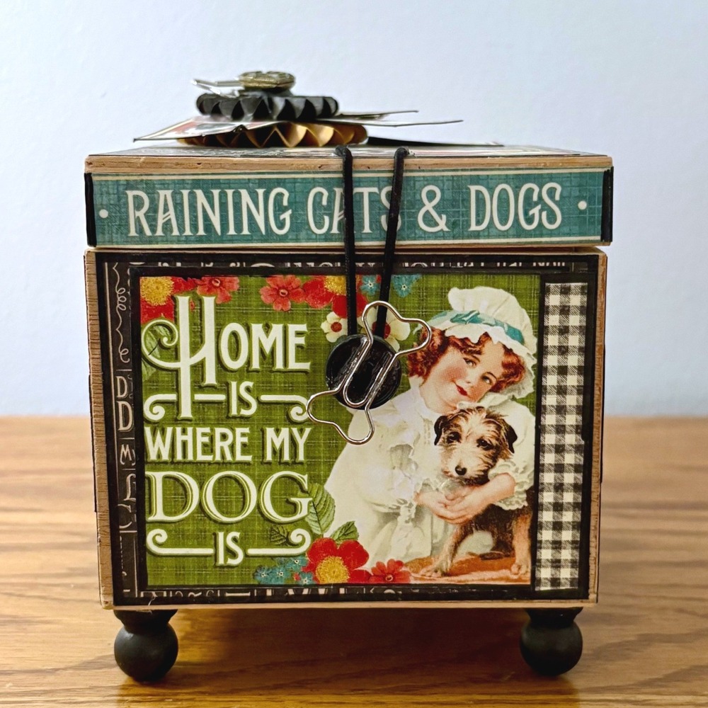 Vintage Style Raining Cats & Dogs Mixed Media Wooden Keepsake Trinket Box‎